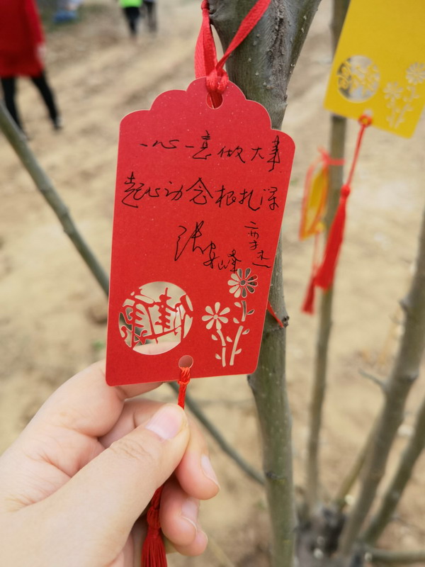 图片8.jpg